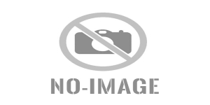 Ιογενείς αιμορραγικοί πυρετοί