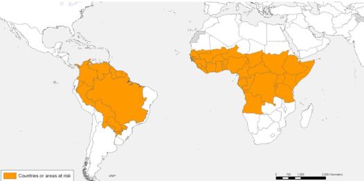 Ενδημικές περιοχές κίτρινου πυρετού